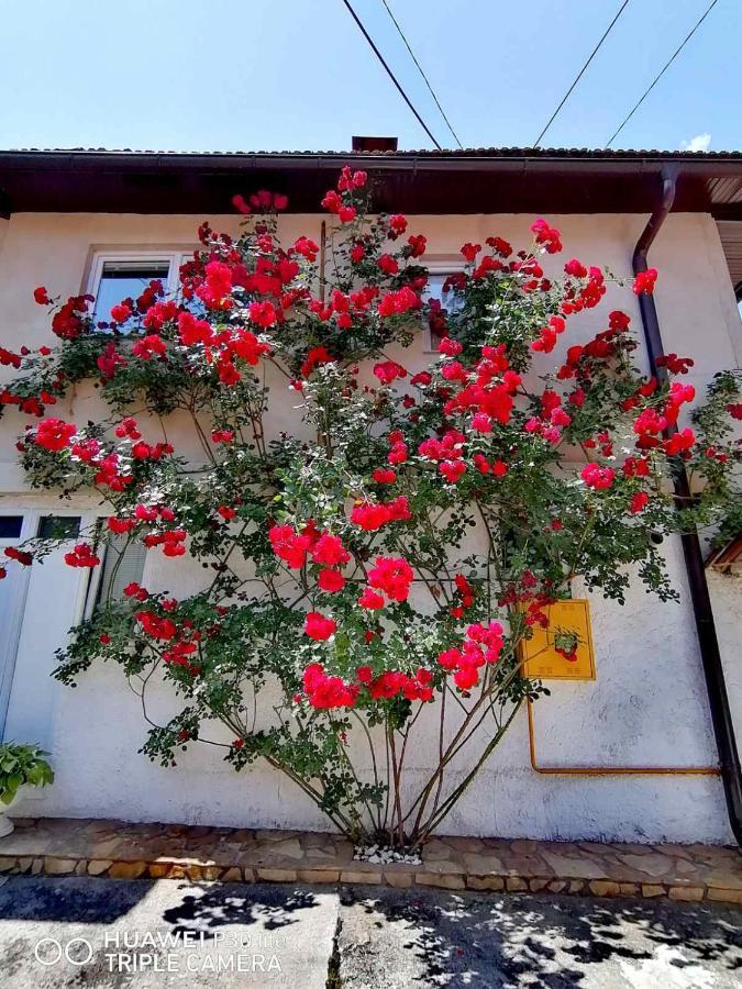 Hotel Modern&Cozy Bosnian House With Garden+Free Parking SJJ Exterior foto
