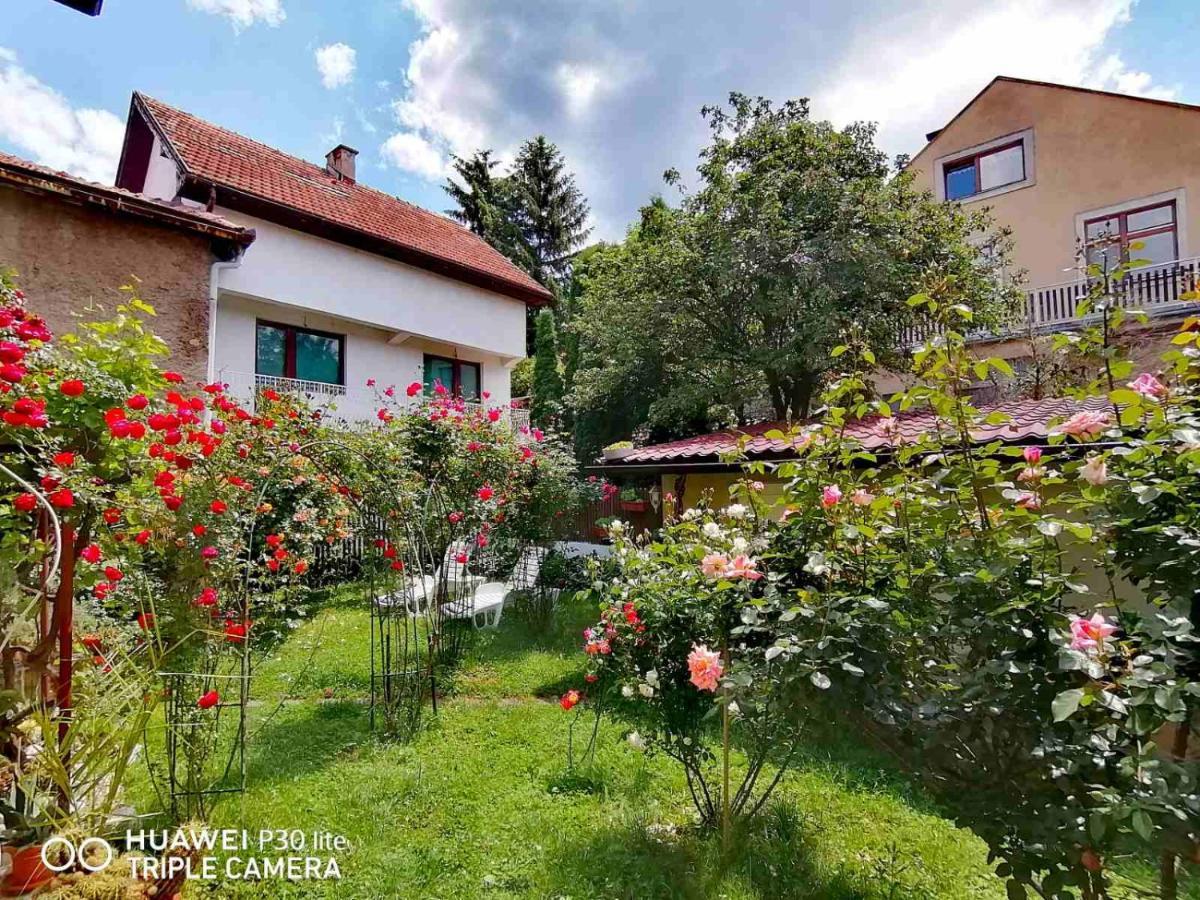 Hotel Modern&Cozy Bosnian House With Garden+Free Parking SJJ Exterior foto
