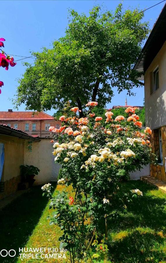 Hotel Modern&Cozy Bosnian House With Garden+Free Parking SJJ Exterior foto