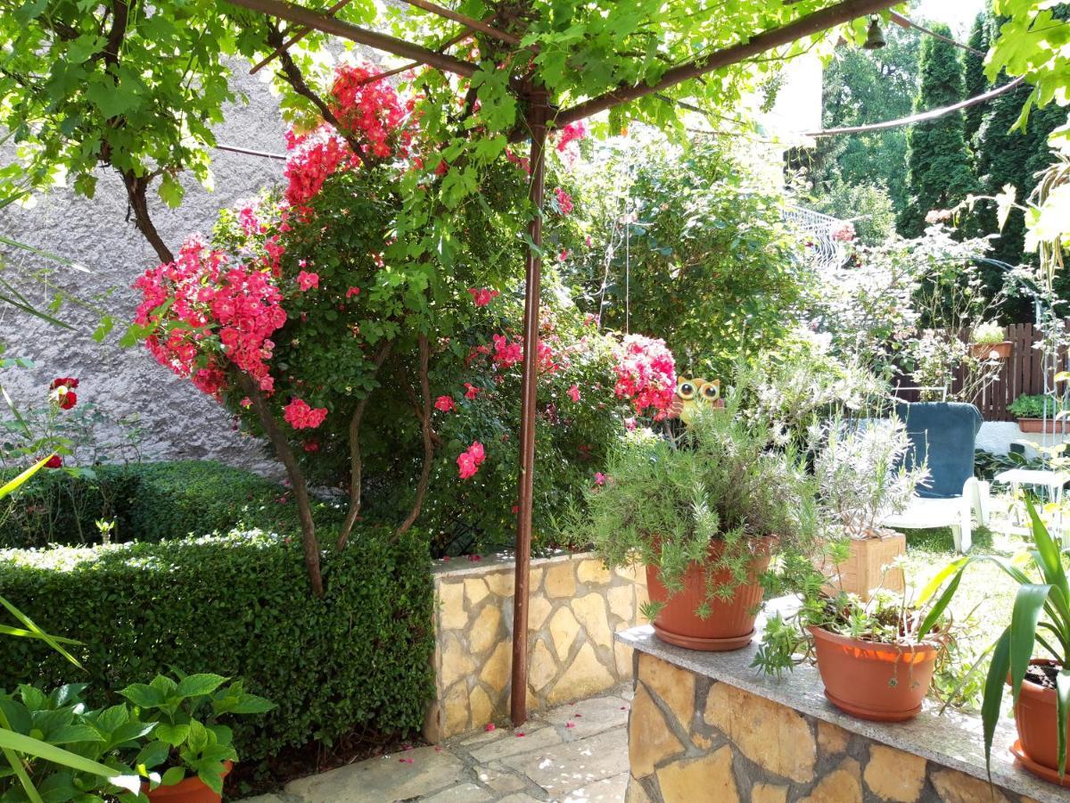 Hotel Modern&Cozy Bosnian House With Garden+Free Parking SJJ Exterior foto