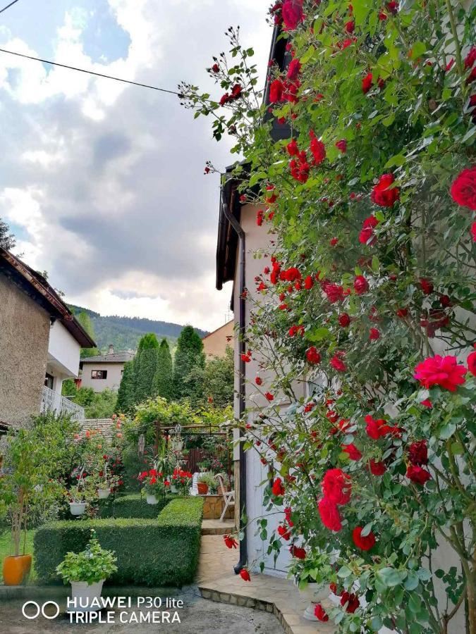 Hotel Modern&Cozy Bosnian House With Garden+Free Parking SJJ Exterior foto