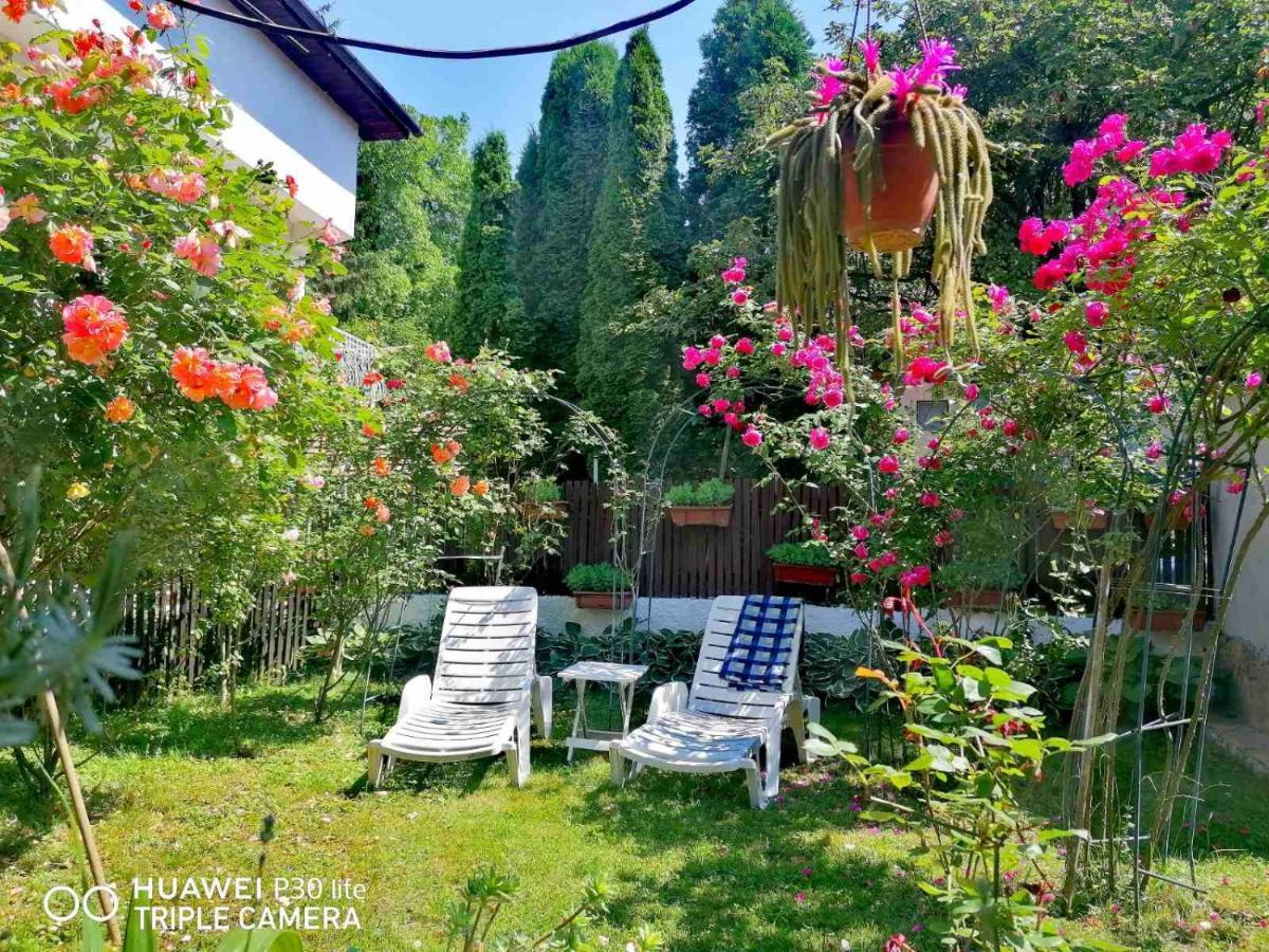 Hotel Modern&Cozy Bosnian House With Garden+Free Parking SJJ Exterior foto