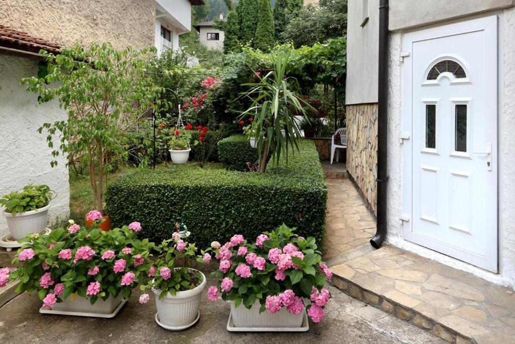 Hotel Modern&Cozy Bosnian House With Garden+Free Parking SJJ Exterior foto