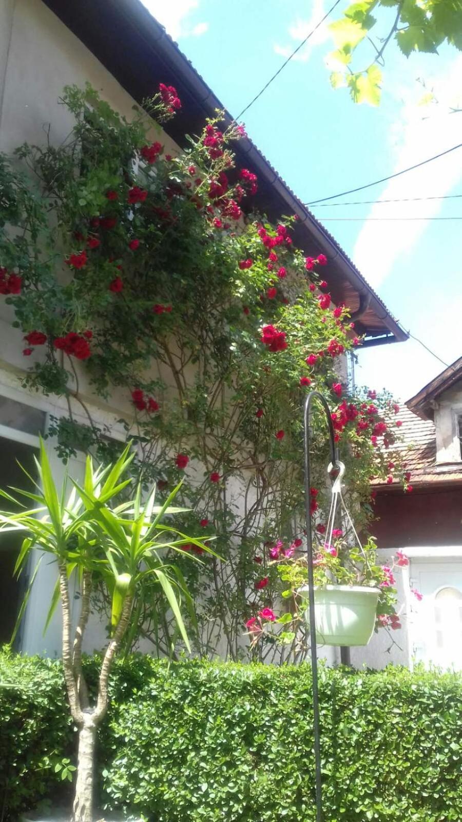 Hotel Modern&Cozy Bosnian House With Garden+Free Parking SJJ Zimmer foto