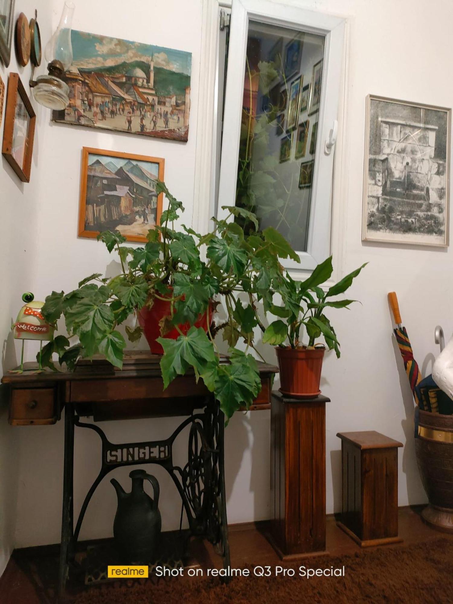 Hotel Modern&Cozy Bosnian House With Garden+Free Parking SJJ Exterior foto