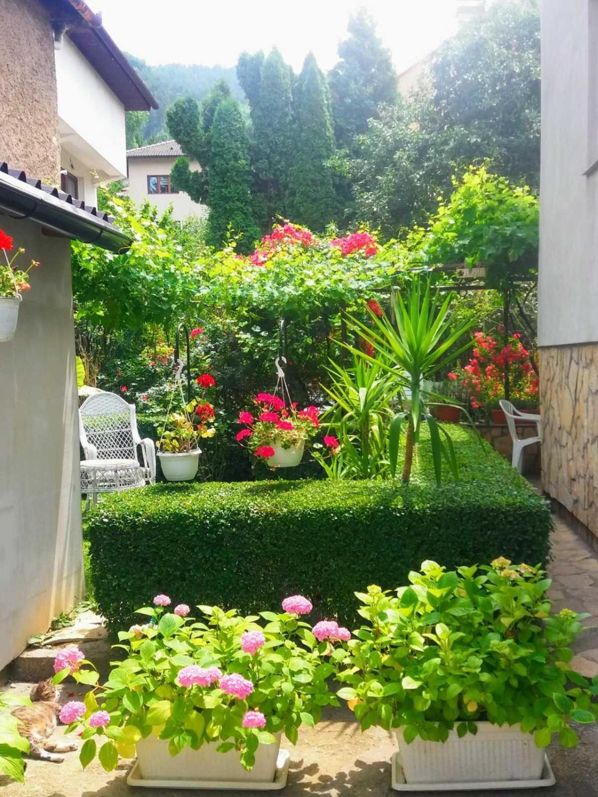 Hotel Modern&Cozy Bosnian House With Garden+Free Parking SJJ Zimmer foto