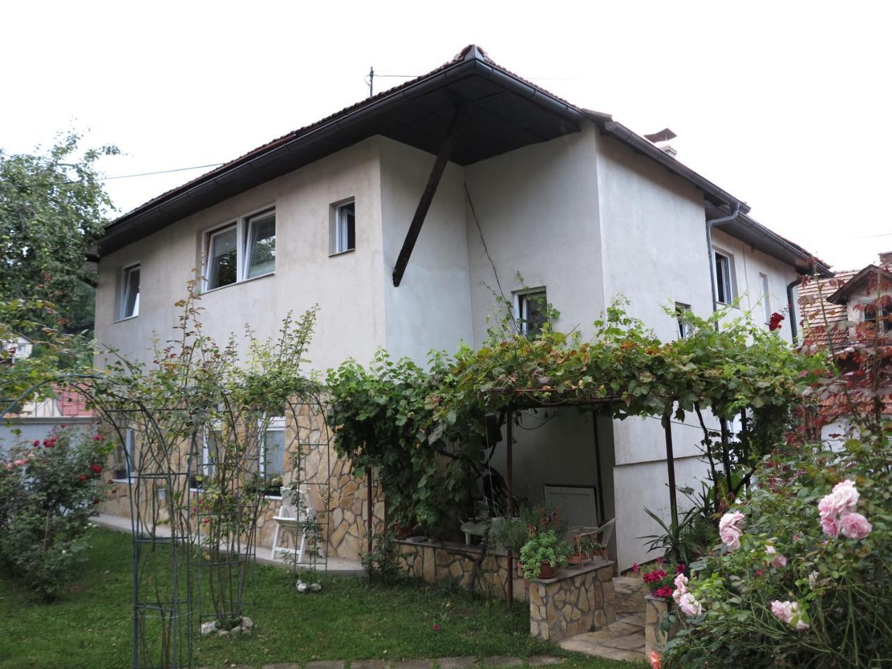 Hotel Modern&Cozy Bosnian House With Garden+Free Parking SJJ Exterior foto