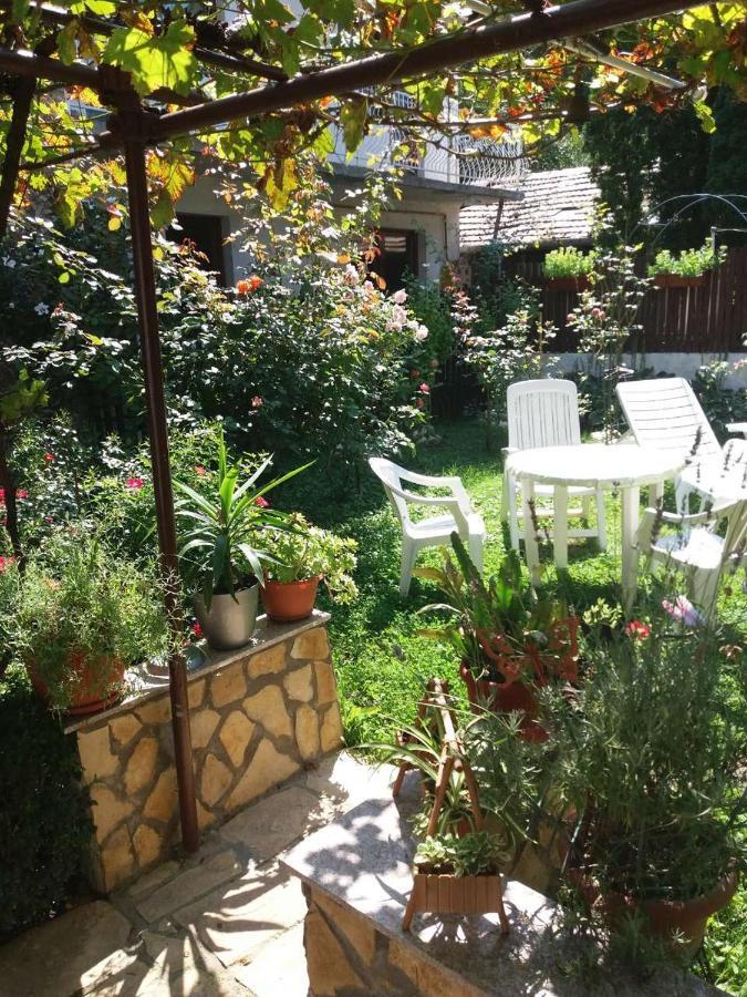 Hotel Modern&Cozy Bosnian House With Garden+Free Parking SJJ Exterior foto